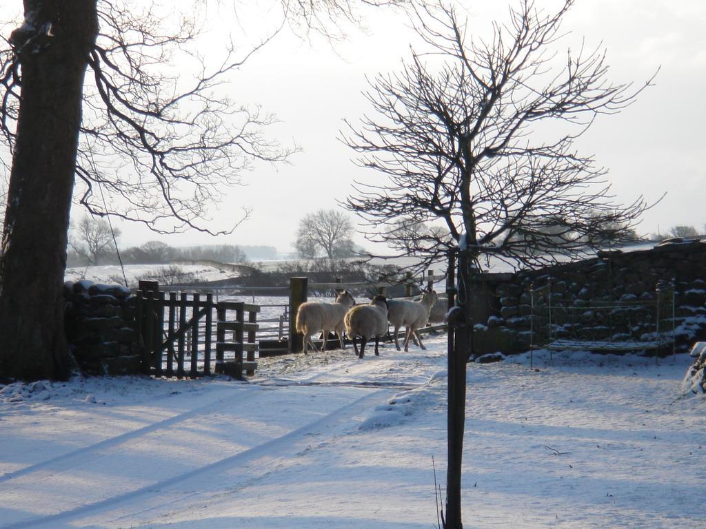 Littlebank Country House Settle Extérieur photo